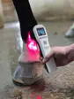 Hvid Heat Sense Laser S 2.0 holdt mod koden lige over hoven på en hest med rødt lys