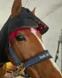 Rødbrun hest med blis og blå grime, der bærer en sort lysterapihætte med røde lysdioder